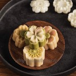 Manyao Backform orientalisch Kirschblüten Kekspresse Kuchenform 30 g Weiß Motiv Küchenutensilien orientalisches Gebäck.