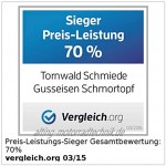 Tornwald-Schmiede Gusseisenbräter: Gusseisen Schmortopf emailliert 25cm Gusstöpfe