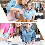 WisFox Tortenplatte Drehbar Tortenständer Kuchen Drehteller Cake Decorating Turntable mit Zuckerguss Spritzbeutel und Tipps-Set Vereisungsspachtel und glatter Gebäckwerkzeug